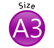 a3